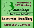 Baumpflege Klagenfurt - Baumschnitt Villach - Andreas Mörtlitz  - Baumpflege Kärnten